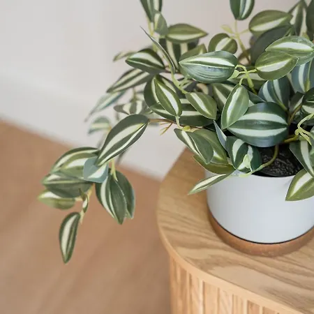 Guestready - Stylish With A Terrace Apartment