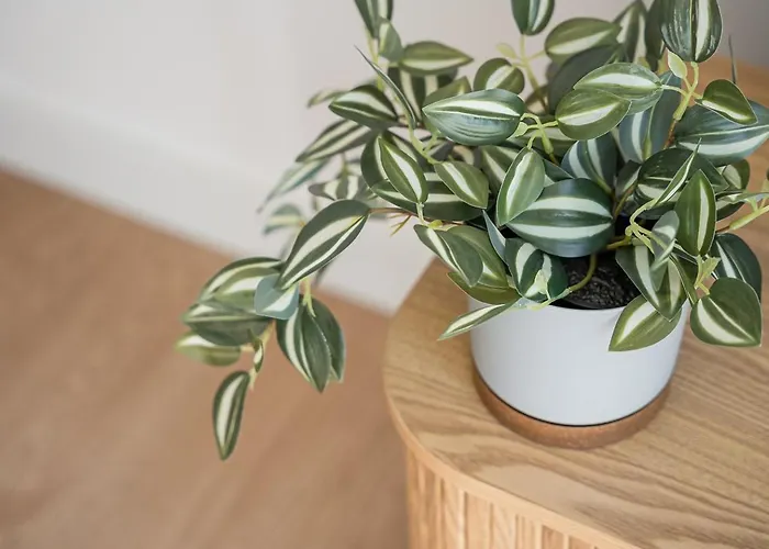 Guestready - Stylish With A Terrace Apartment